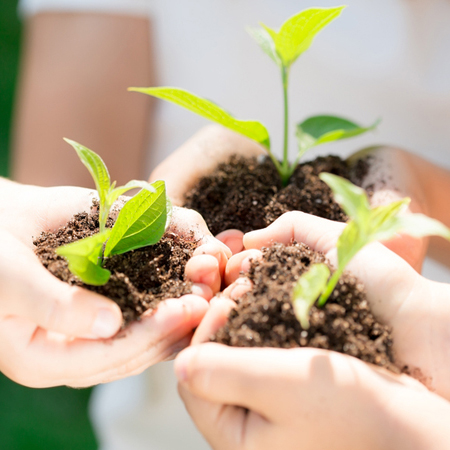 tư vấn môi trường