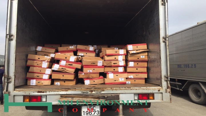 tiêu hủy 177 container thịt bò, nhựa phế liệu, hoa quả, chân gà buộc tiêu hủy do yêu cầu của bên hải quan, c49 và sở tài nguyên & môi trường